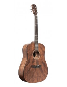 Acoustic dreadnought guitar...