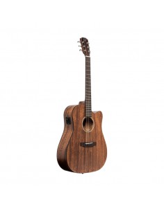 Cutaway acoustic-electric... 2