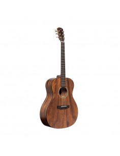 Acoustic auditorium guitar... 2