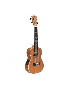 Acoustic-electric concert... 2