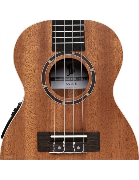 Acoustic-electric concert ukulele with sapele top and gigbag