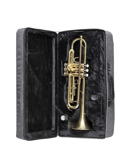 Soft case for trumpet, grey