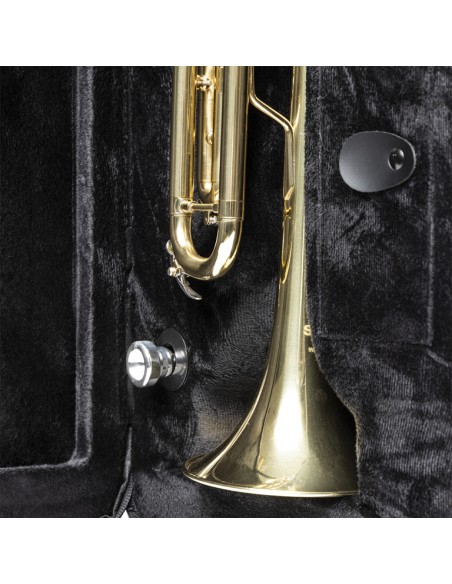 Soft case for trumpet, grey