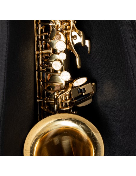 Bag for alto saxophone, black