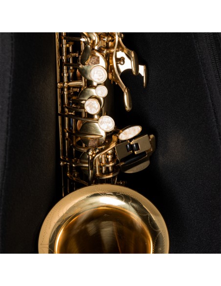 Bag for alto saxophone, grey