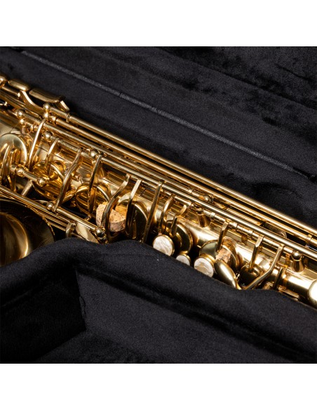 Soft case for alto saxophone, grey