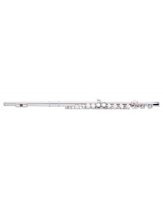 C Flute, closed holes,...