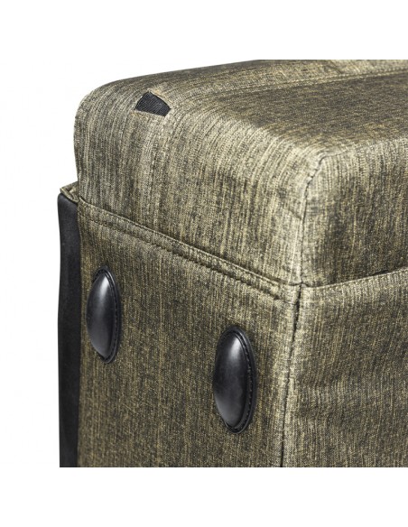 Soft case for trumpet, bright green