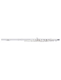 C Flute, closed holes,...