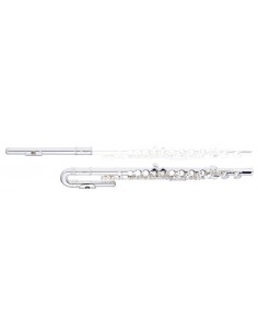 C flute, 2 head joints...