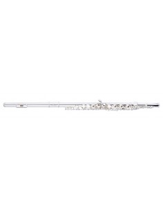 C Flute, open holes, offset...