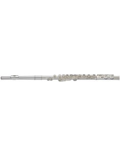 C Flute, open holes, offset...
