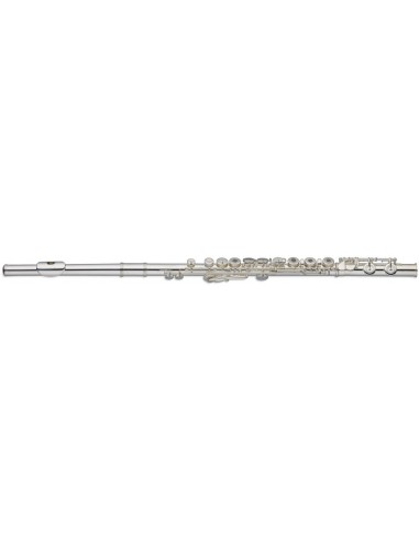 C Flute, open holes, offset G, split...