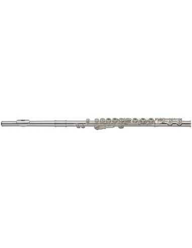C Flute, open holes, in-line G, split...