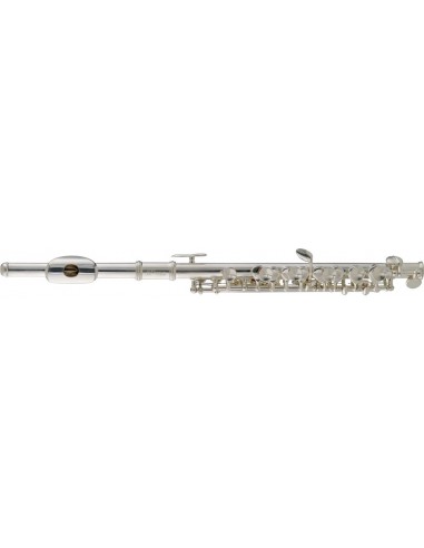 C Piccolo flute, offset G, split E...