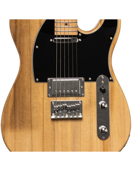 Vintage "T" Series - plus electric guitar