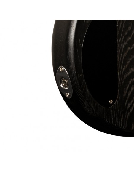 "Fusion" electric bass guitar
