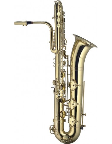 Bb Bass Saxophone, in soft case