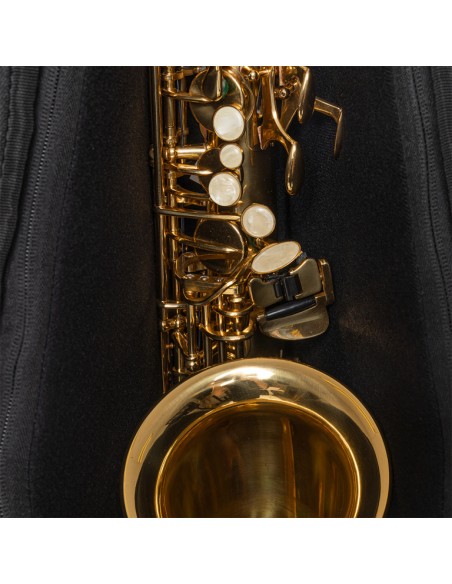 Bag for alto saxophone, faux leather, black