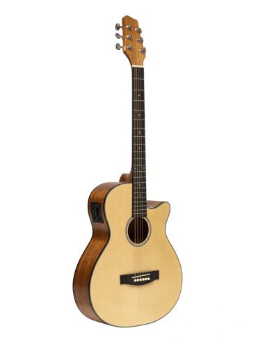 ElElectro-acoustic auditorium guitar with cutaway