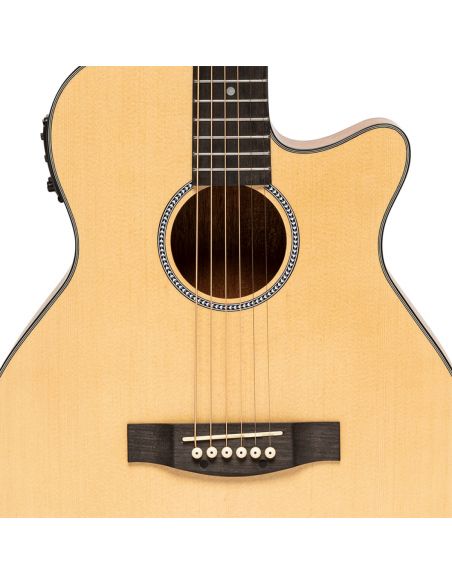 ElElectro-acoustic auditorium guitar with cutaway
