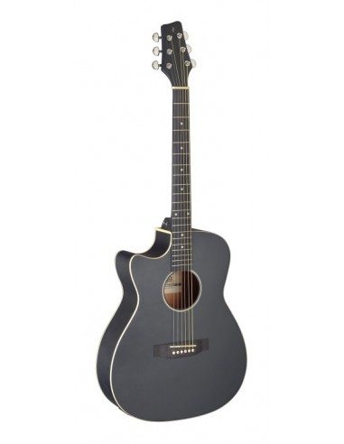 Cutaway acoustic-electric auditorium...
