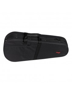 Basic series soft case for mandolin 2