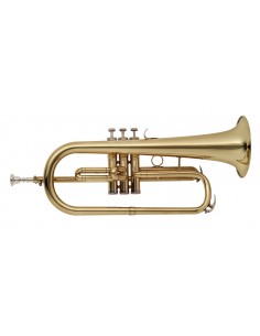 Bb flugelhorn with brass...