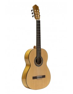 Flamenca guitar