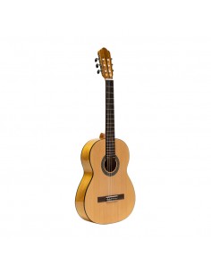 Flamenca guitar 2