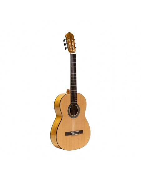 Flamenca guitar
