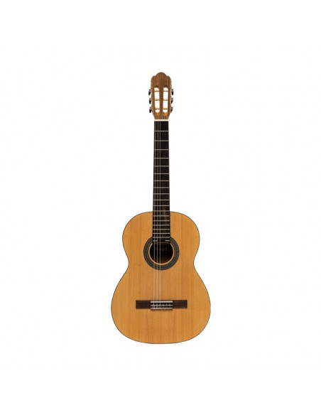 Flamenca guitar