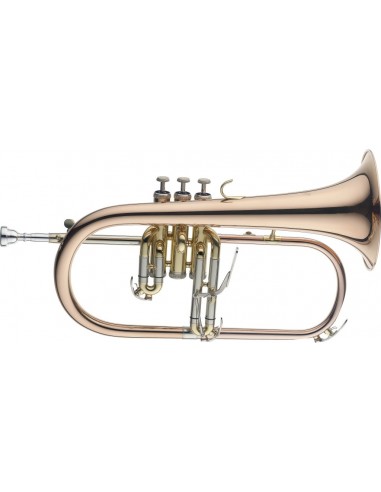 Bb Flugelhorn, Goldbrass instrument