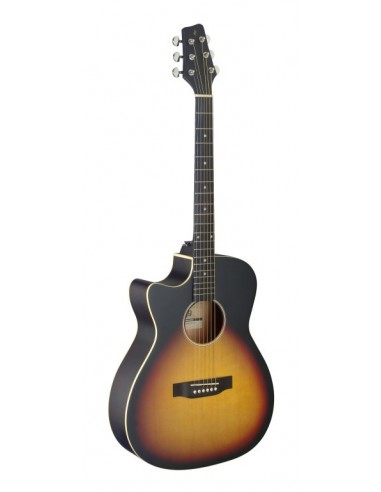 Cutaway acoustic-electric auditorium...