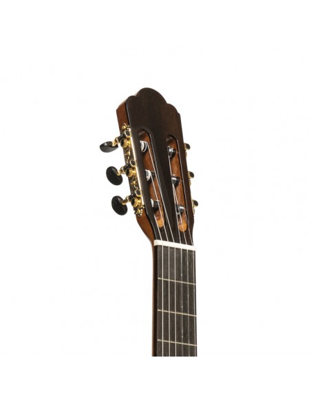 Tinto serie, classical guitar with solid spruce top, lacewood back and sides