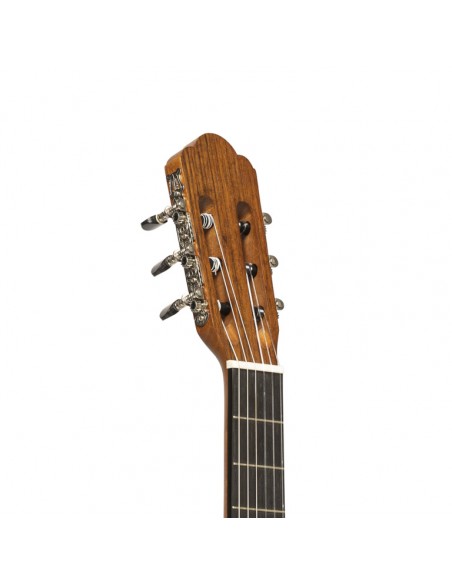 Graciano serie, electric classical guitar with solid spruce top, with cutaway