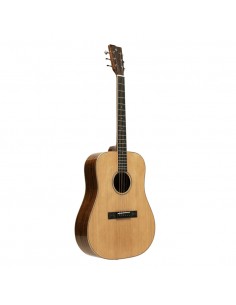 Dreadnought acoustic guitar with spruce top, Series 45 2