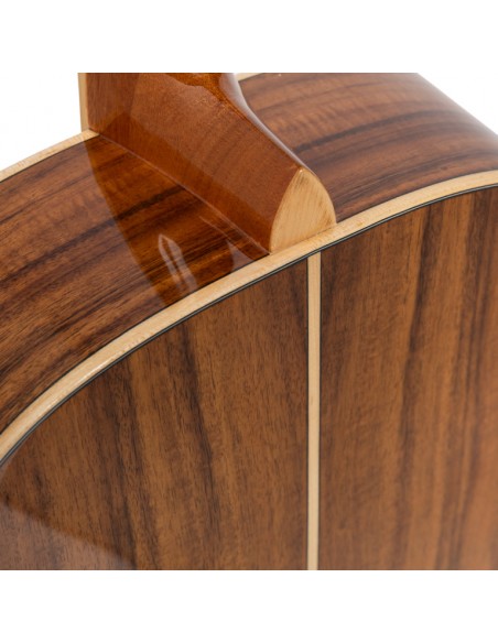 Orchestra acoustic guitar with spruce top, Series 45