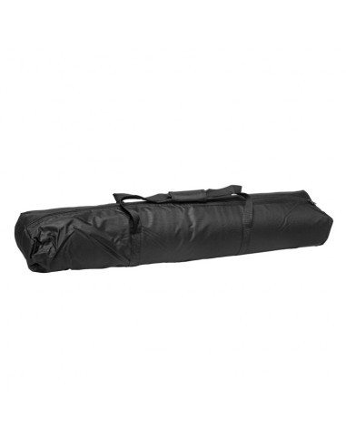 Padded bag for two speaker/microphone stands