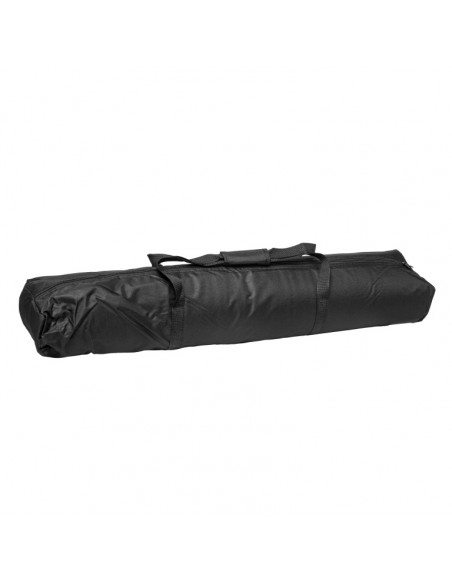 Padded bag for two speaker/microphone stands