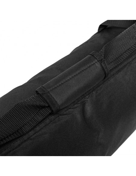 Padded bag for two speaker/microphone stands