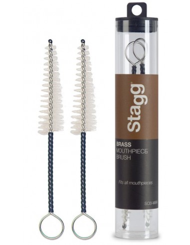 Two universal brass mouthpiece brushes