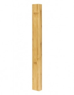 Box for conductor's baton