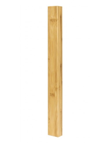 Box for conductor's baton
