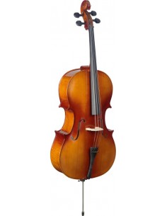 3/4 laminated maple cello...
