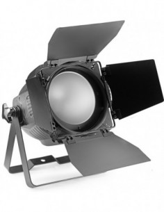 King PAR 200 with 1 x...