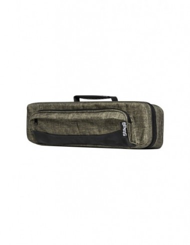 Soft case for flute, bright green