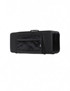 Soft case for tenor...