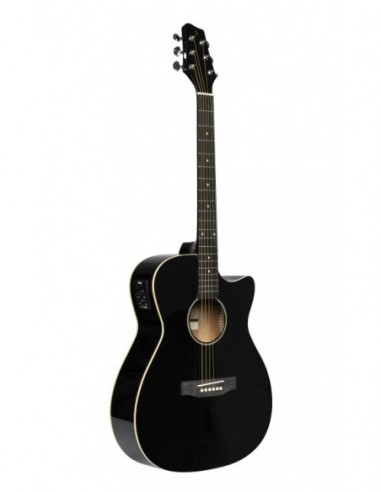 Cutaway acoustic-electric auditorium...