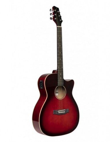Cutaway acoustic-electric auditorium...